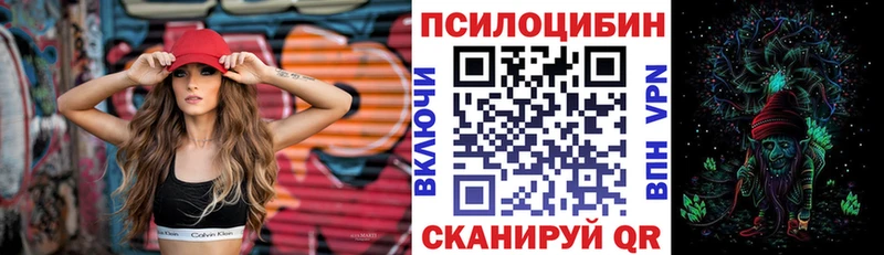 hydra ссылки  Куртамыш  Псилоцибиновые грибы Psilocybine cubensis  купить наркотик 